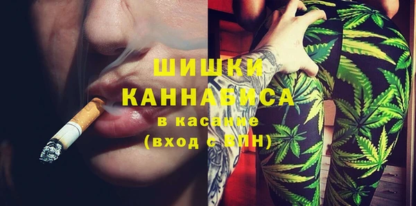 PSILOCYBIN Рославль