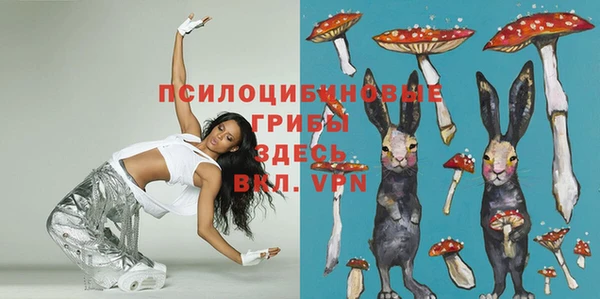 молекула духа Беломорск