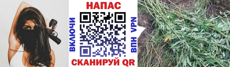 МАРИХУАНА тримм  Клин 